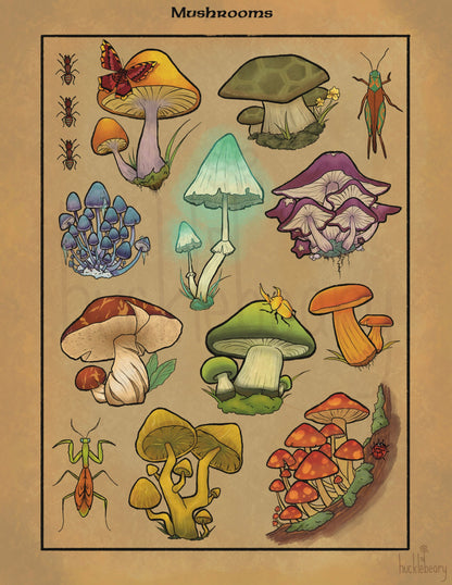 Legendary Mushrooms Print (8.5"x11")